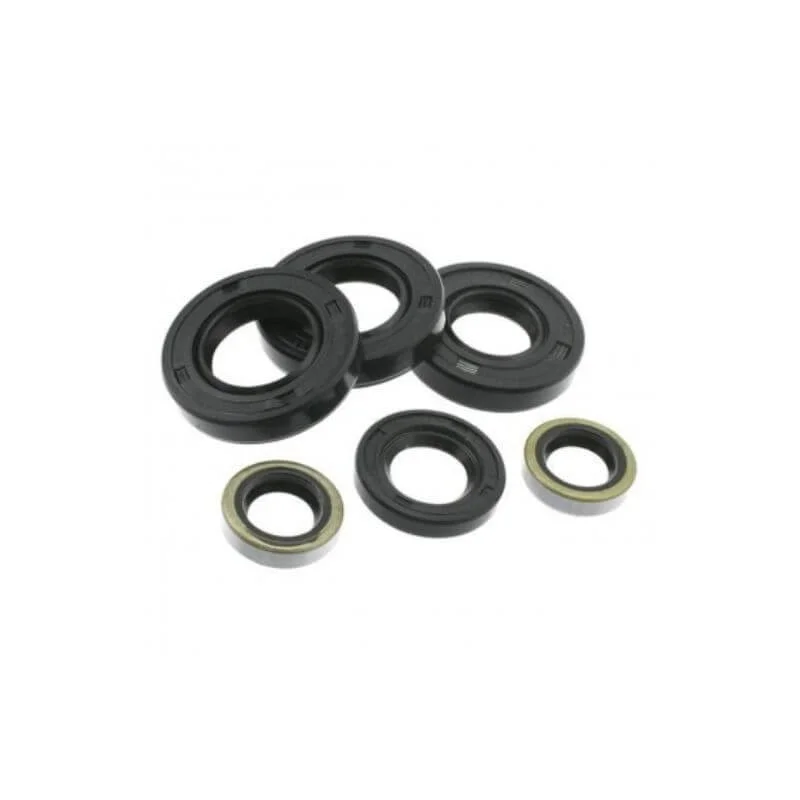 Kit Retenes de Motor Completo Artein, Derbi Senda 50, GPR 50, Gilera Zulú 50, RCR, SMT Artein Alta Calidad